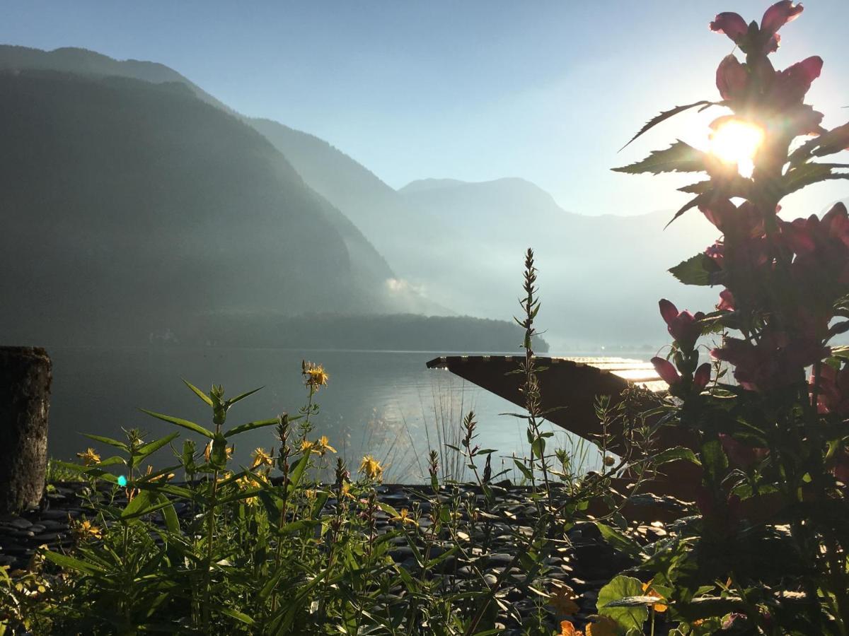 Glueck Am See - Apartment Mit Seezugang هالشتات المظهر الخارجي الصورة